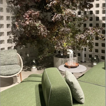 Minotti